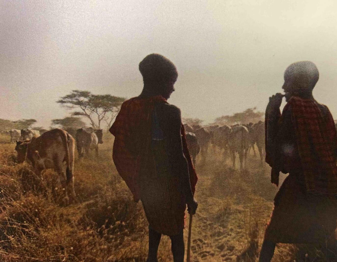 Learning about Africa